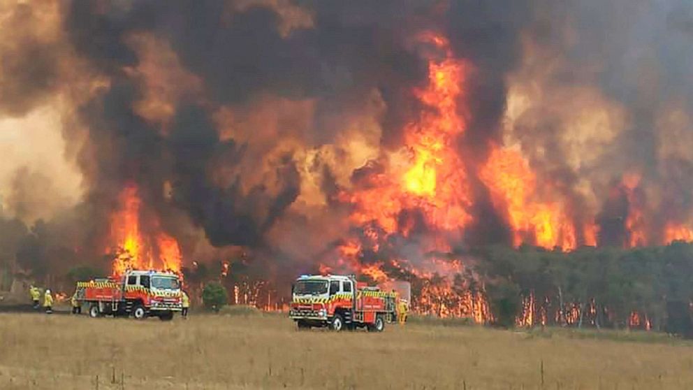 अष्ट्रेलियाकाे जंगलमा लागेकाे डडेलाेले दिलाएकाे क्षतिप्रति गहिराे दुखानुभूति