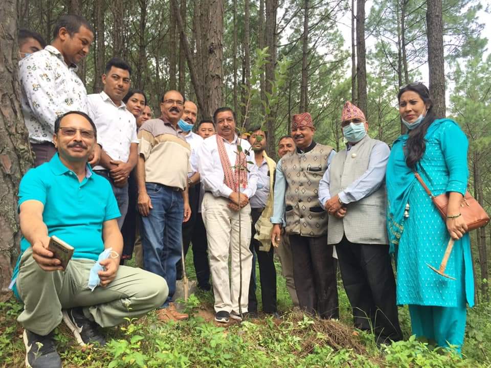 अन्तराष्ट्रिय युवा दिवसको अवसरमा यज्ञडाेल (जगडाेल)सामुदायिक वनमा वृक्षारोपण गोडमेल तथा पुनरोंपण कार्यक्रम