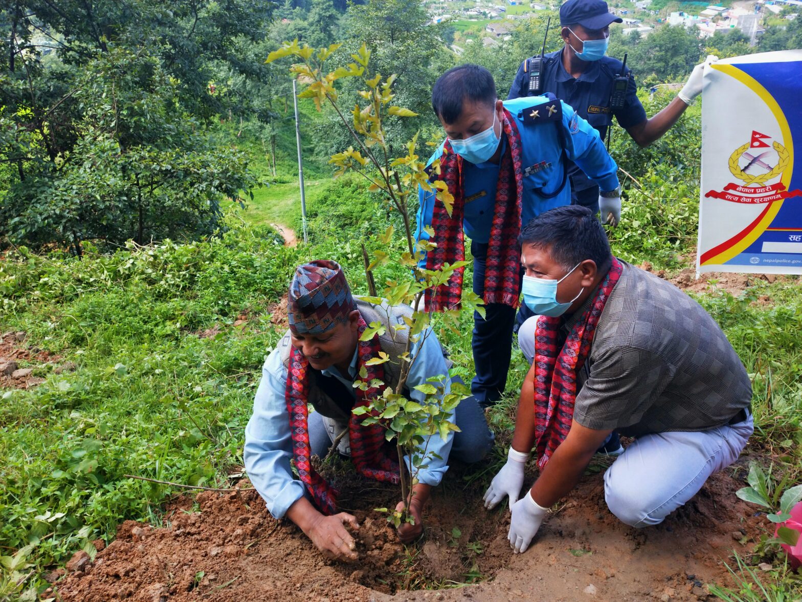 जगडोलको शहीद पार्कमा सप्ताह व्यापी वृक्षरोपण कार्यक्रमको शुभारम्भ
