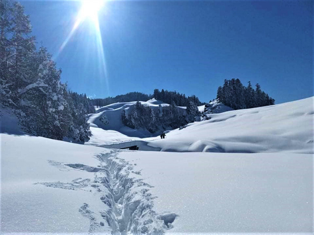 कर्णाली विश्वको आरोग्य हब बन्न सक्ने ठूलो आधार