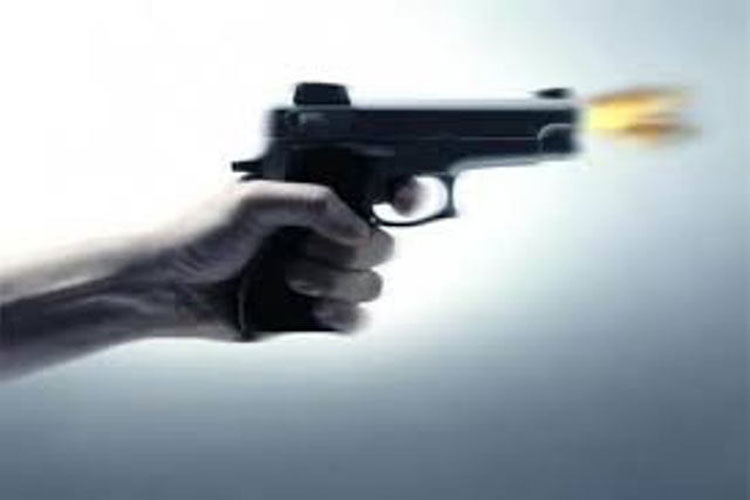 फ्रान्समा अवैध आप्रवासी बोक्ने बेलायती भ्यानभित्र मृत शरीर भेटियो, गोली हानी मारिएको दावी
