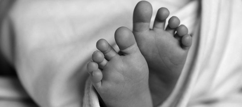 जङ्गली च्याउ खाँदा एक जना बालिकाको मृत्यु