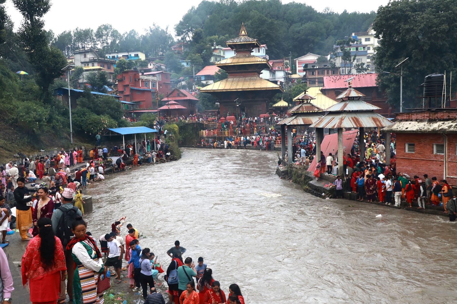 आज कुशे औँसी, घर–घरमा कुश भित्र्याइँदै