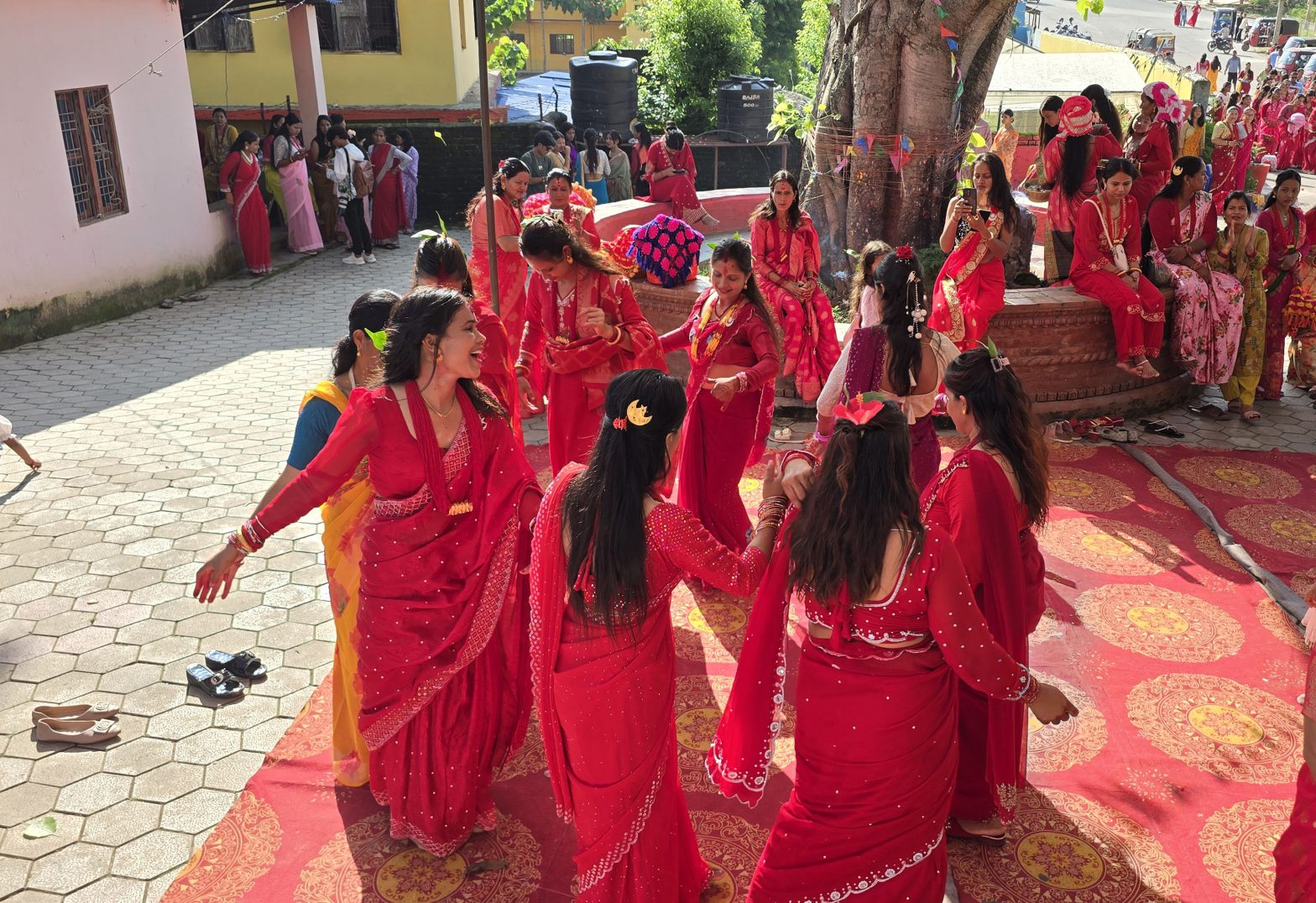 तीज रमझम तस्वीरमा