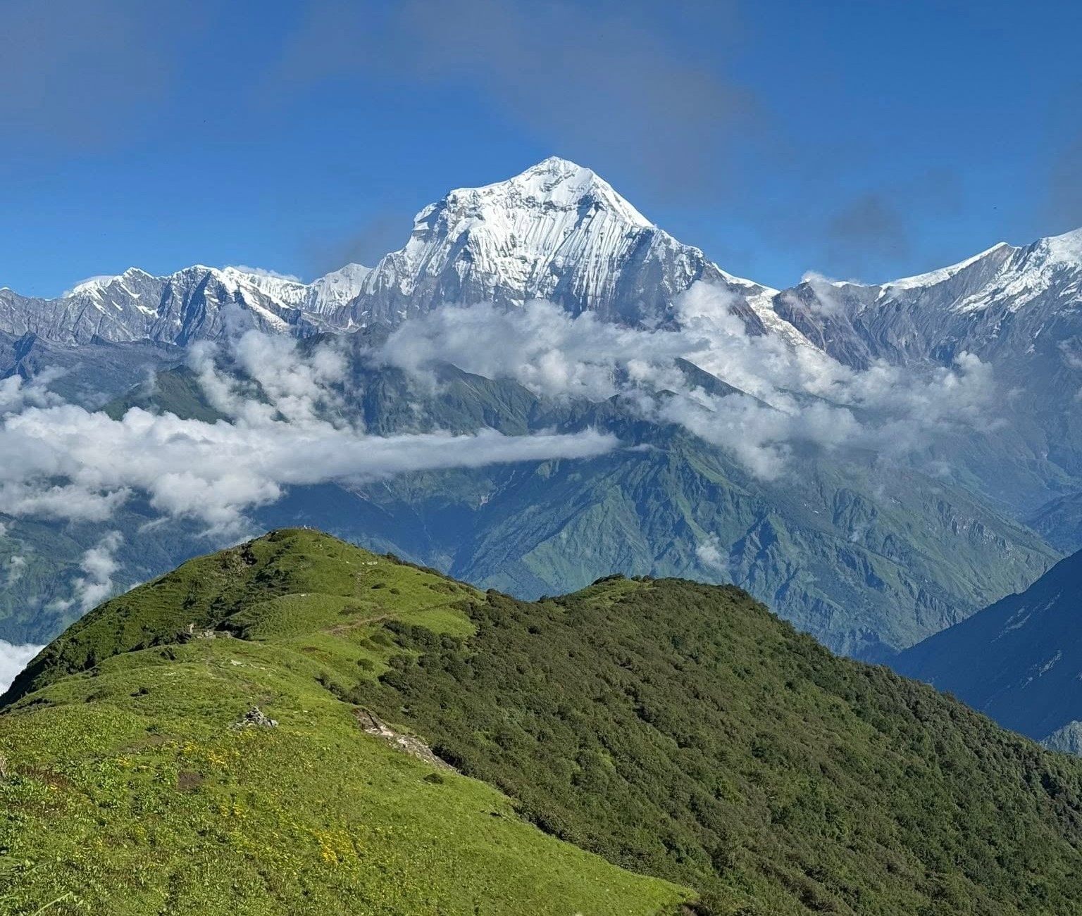 धवलागिरि आरोहण गर्न २४ जनाले अनुमति लिए