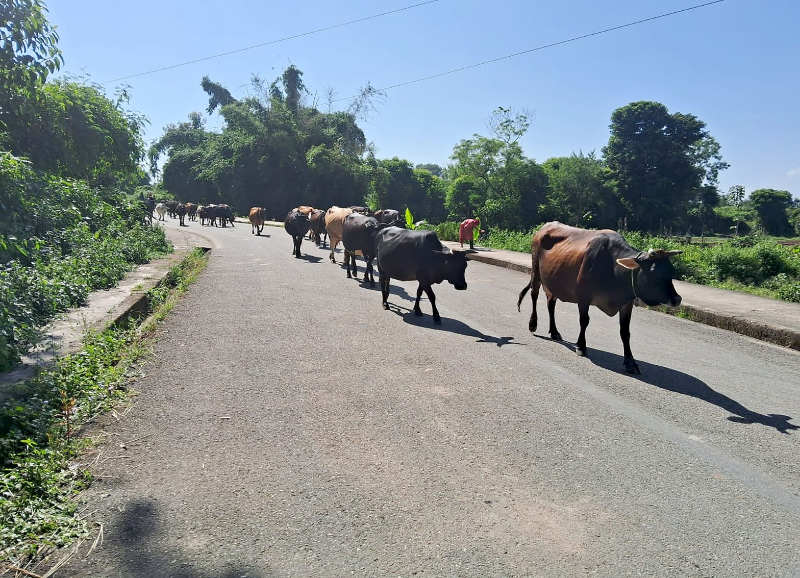 नेपालमा हिउँद लागेको संकेत गर्ने ७ तस्वीर