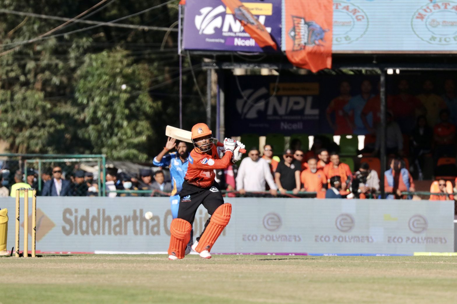 एनपिएल : बोपाराको अर्धशतक मद्दतमा चितवन राइनोज विजयी