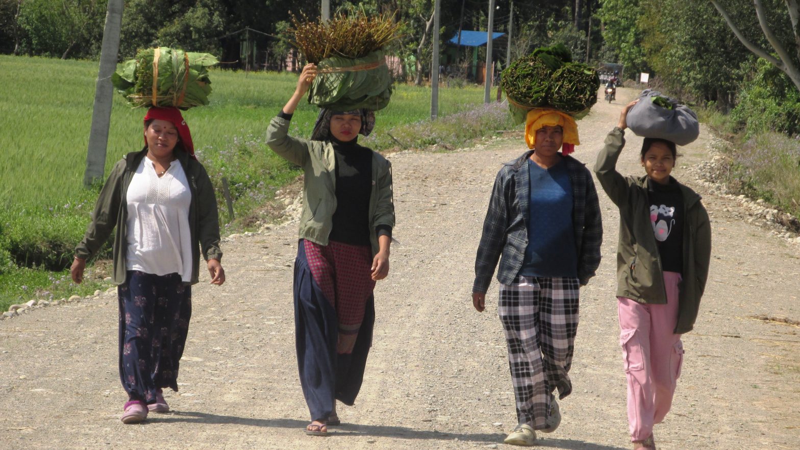 थारु बस्तीमा बढ्यो माघीको चहलपहल