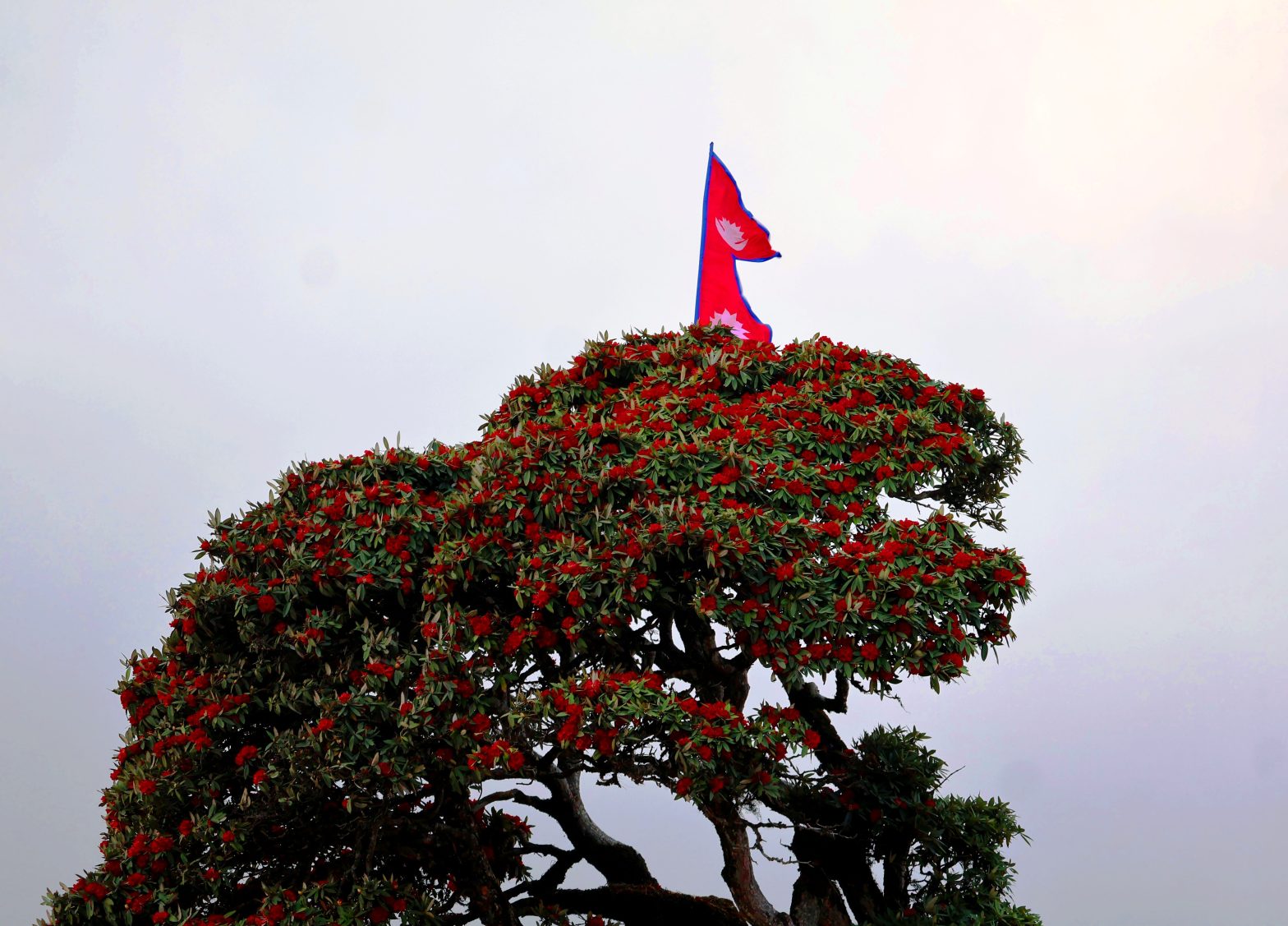 लुम्बिनी र सुदूरपश्चिम प्रदेशका एक–दुई स्थानमा वर्षाको सम्भावना