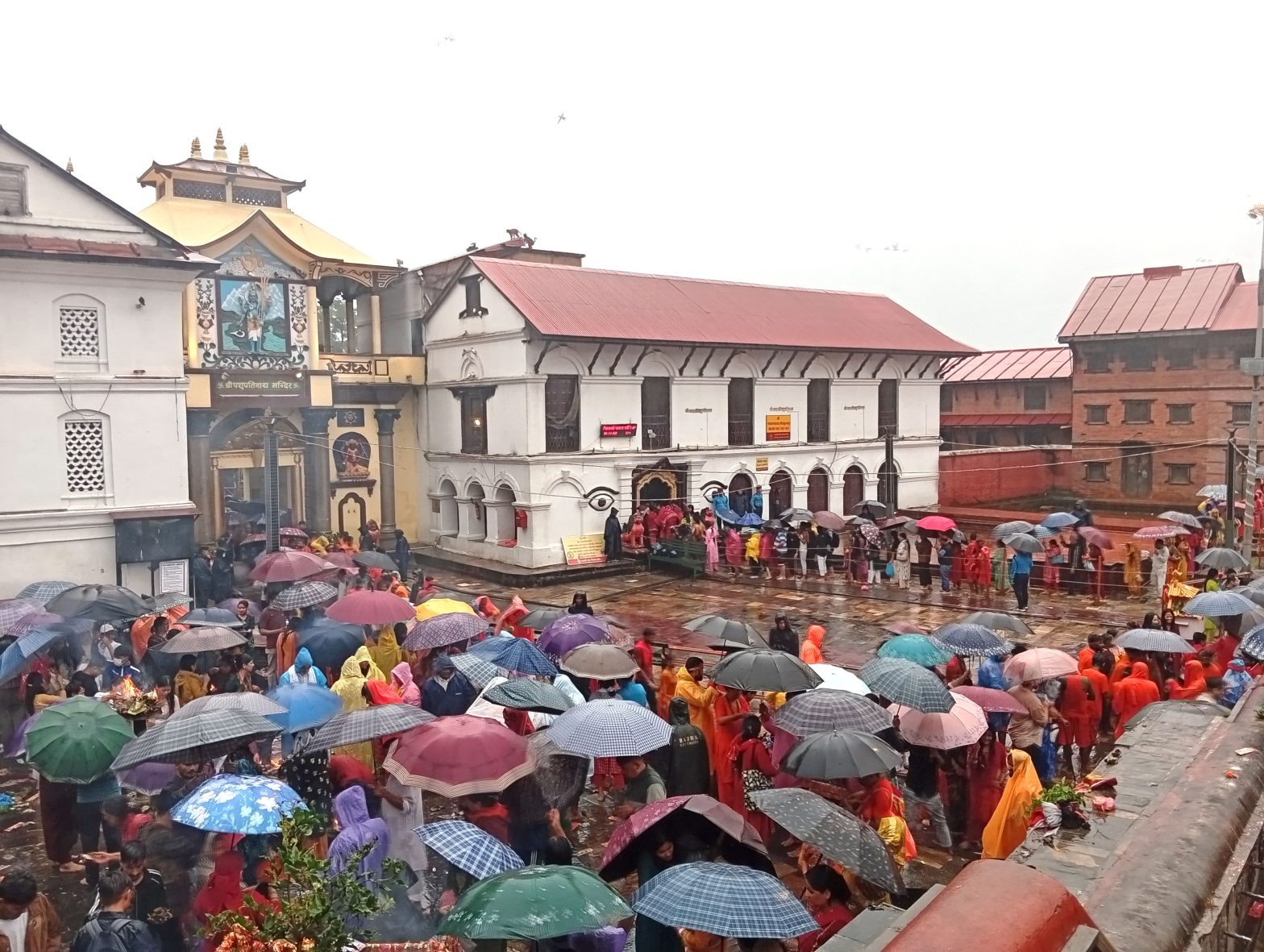 मनसुन सक्रिय, देशका केही स्थानमा भारी वर्षाको पूर्वानुमान