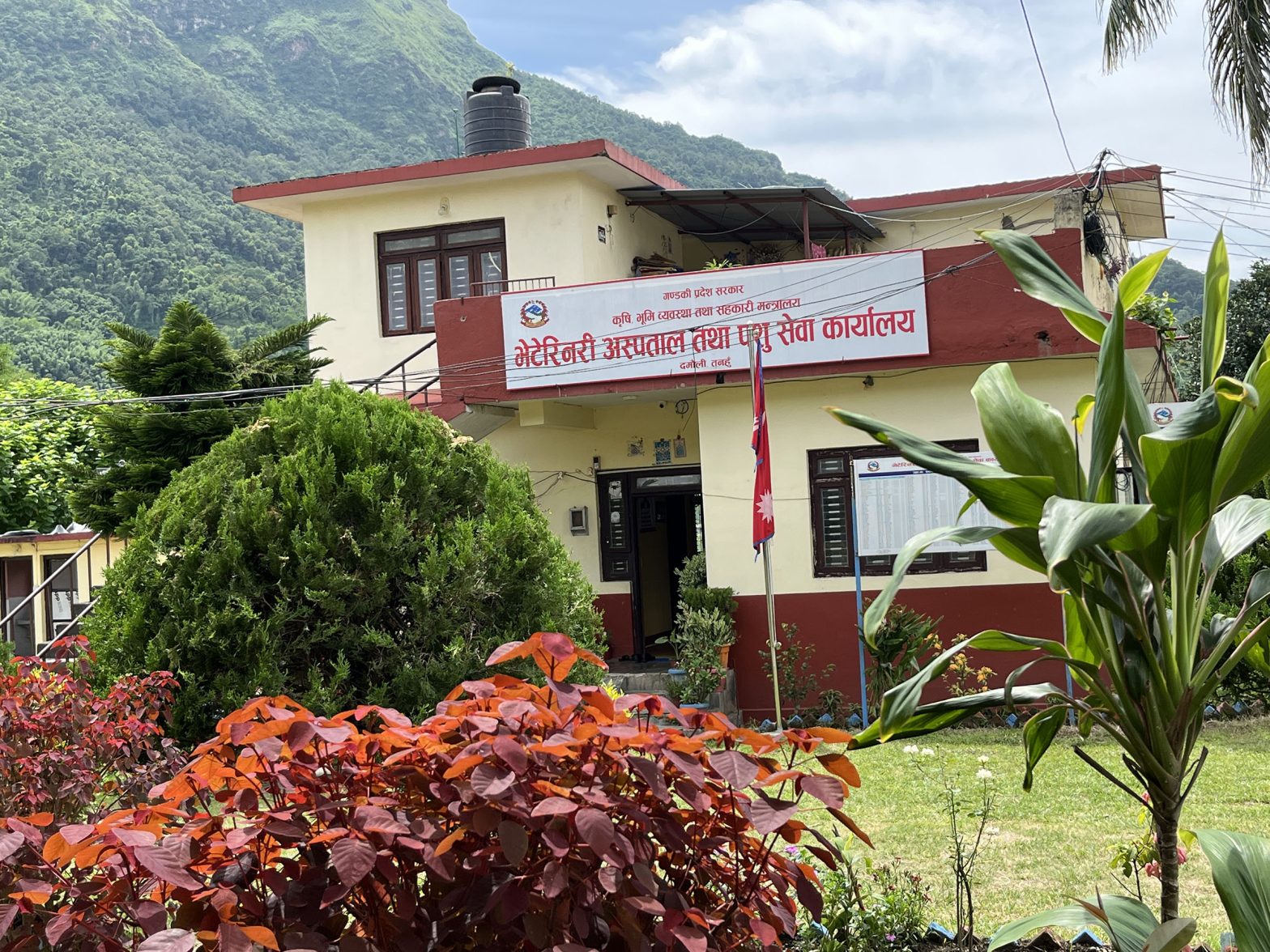 कालीगण्डकी करिडोरकेन्द्रित पशुपालन प्रवर्द्धन