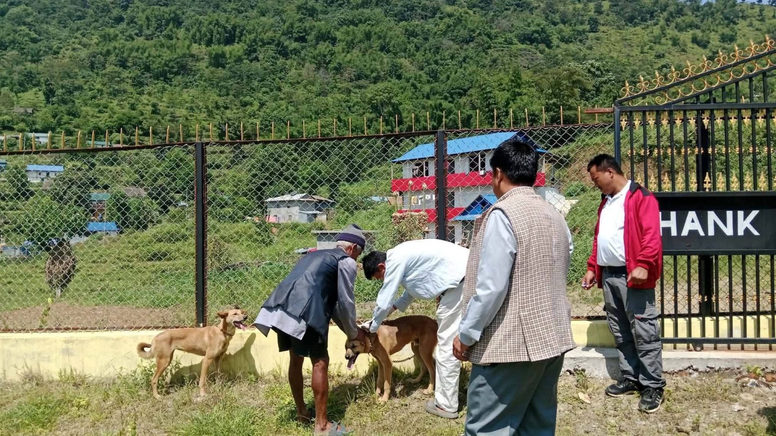 सानोदुम्मामा विशेषज्ञसहितको पशु स्वास्थ्य शिविर सञ्चालन