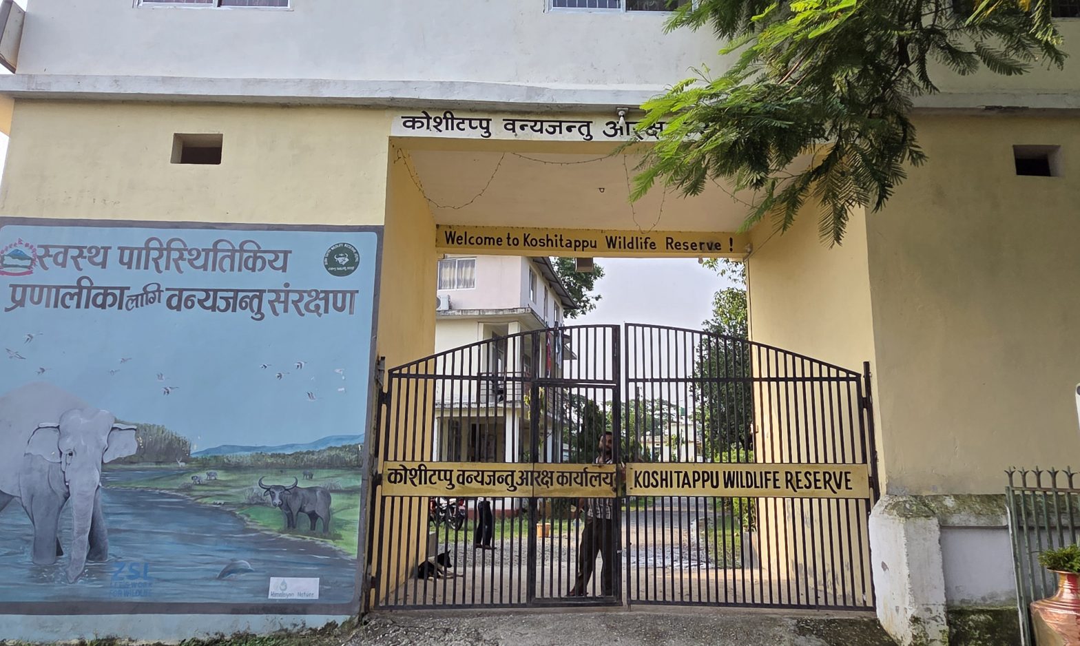 प्रचारप्रसार अभावमा कोशी टप्पुमा विदेशी पर्यटक न्यून